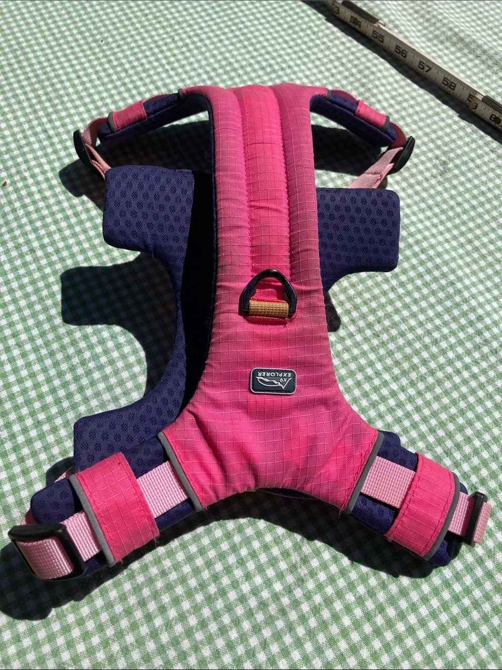 K9 explorer Coastal size  medium padded dog harness